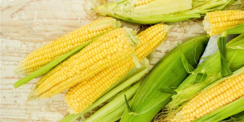 Corn Allergy Overview: Triggers, Treatment, and Management